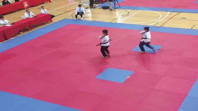 恭賀跆拳道代表隊榮獲108年全大運品勢一般混合組第七名圖片